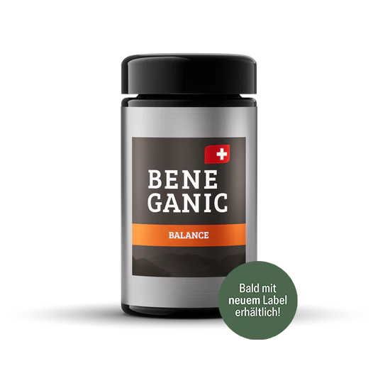 BALANCE - 60 Kapseln á 343,8 mg