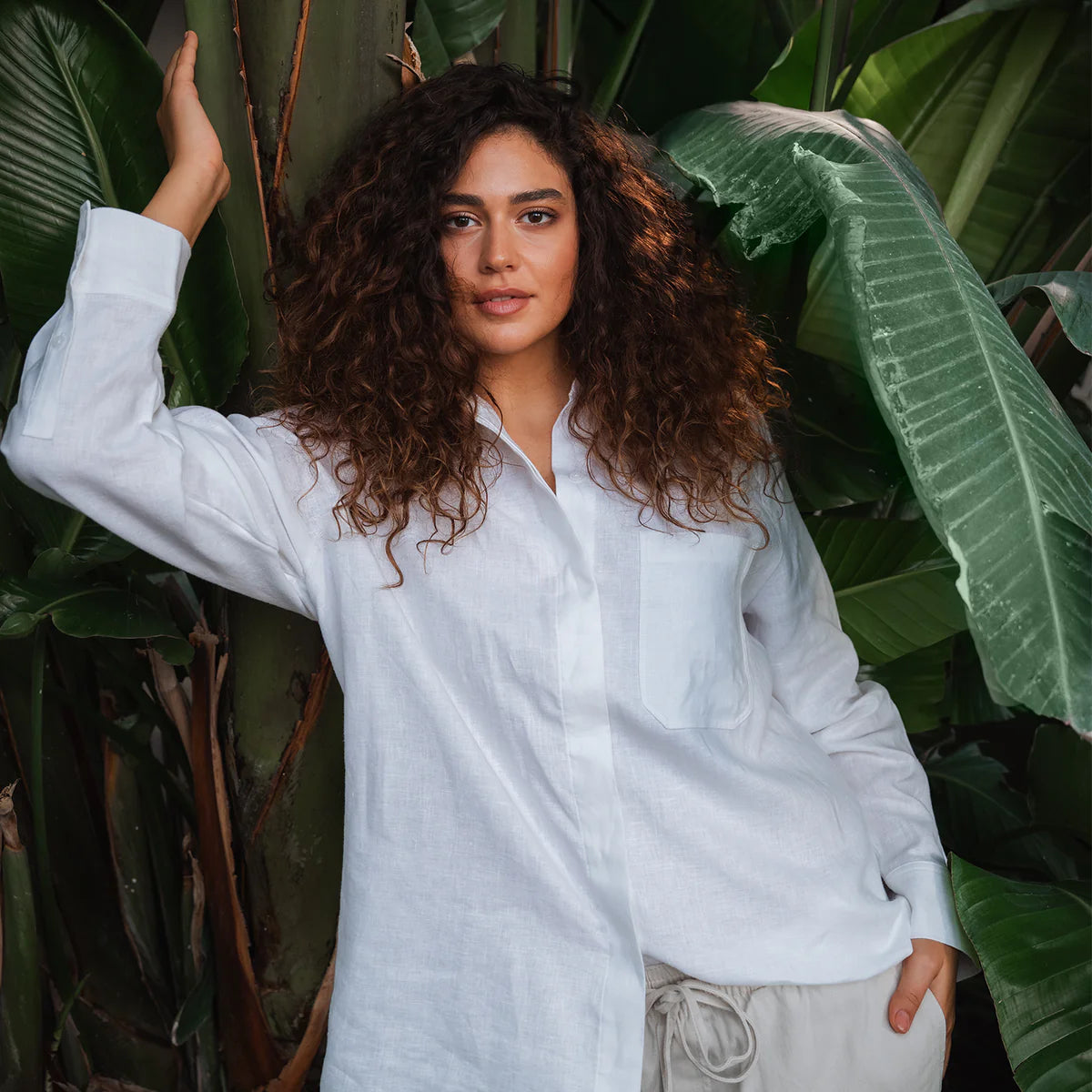 CURCUMIN INDIAN GOLD  -  60 Kapseln á 250 mg